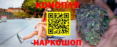 прущие грибы Канаш