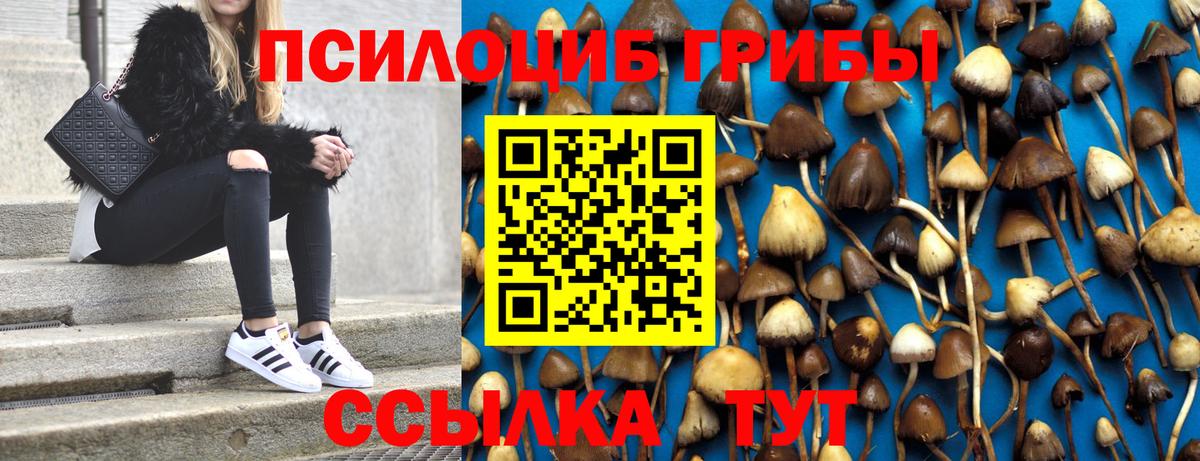 Галлюциногенные грибы Cubensis Ханты-Мансийск